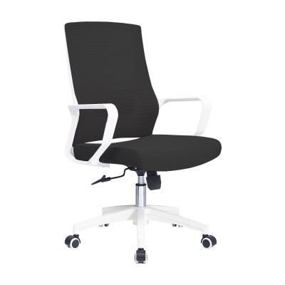 Mesh Ergo Lowback Office Chair in Fiber Mesh