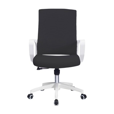 Mesh Ergo Lowback Office Chair in Fiber Mesh